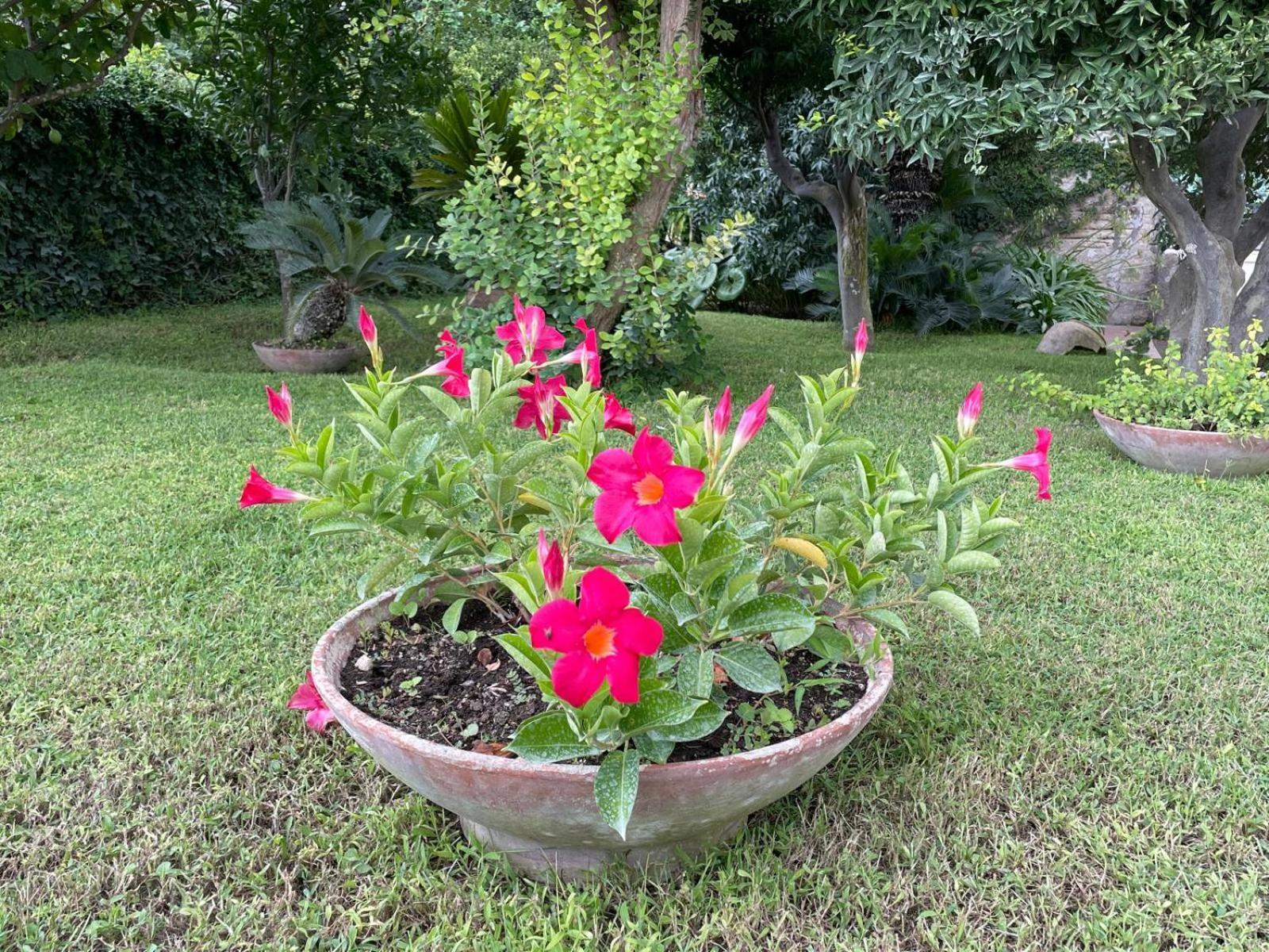 Casa Stefania Appartamento *